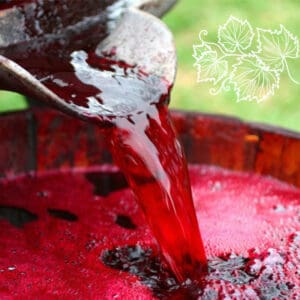 СЕРНИ ДОБАВКИ ЗА ВИНО